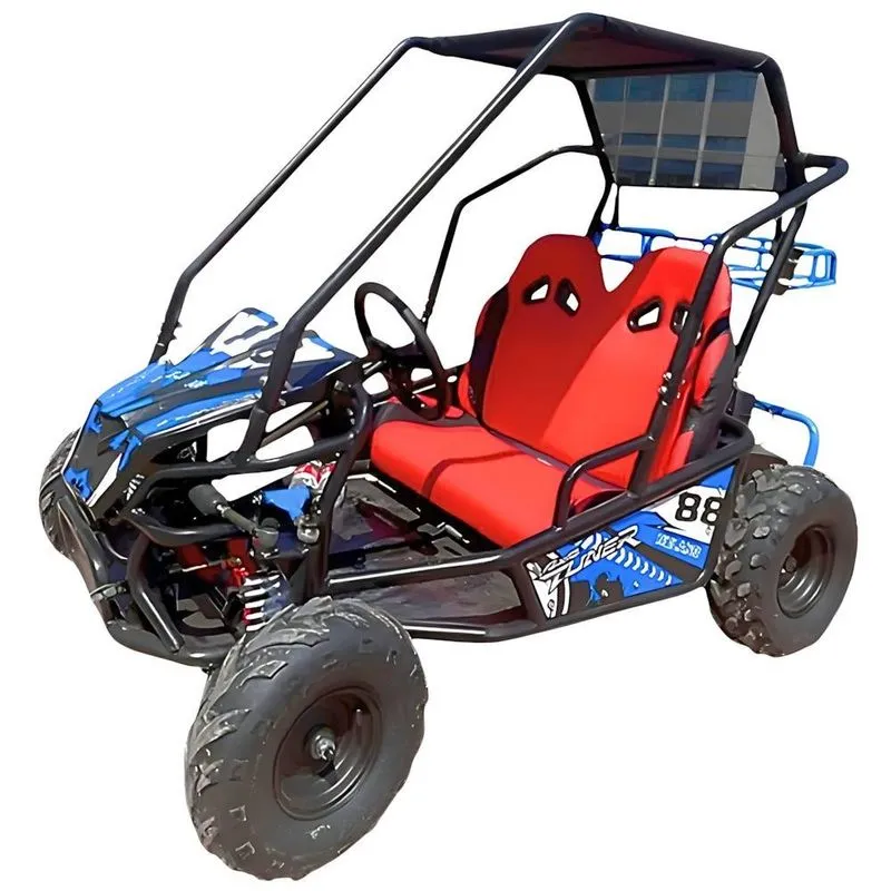 Mini Buggy A Gasolina 110cc Com 2 Assentos - Azul Importway-azul