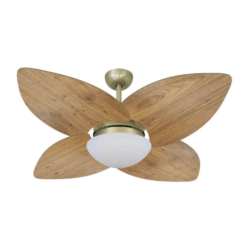 Ventilador De Teto Dormamu Gold 4 Pás Rádica Freijó 127V 110V
