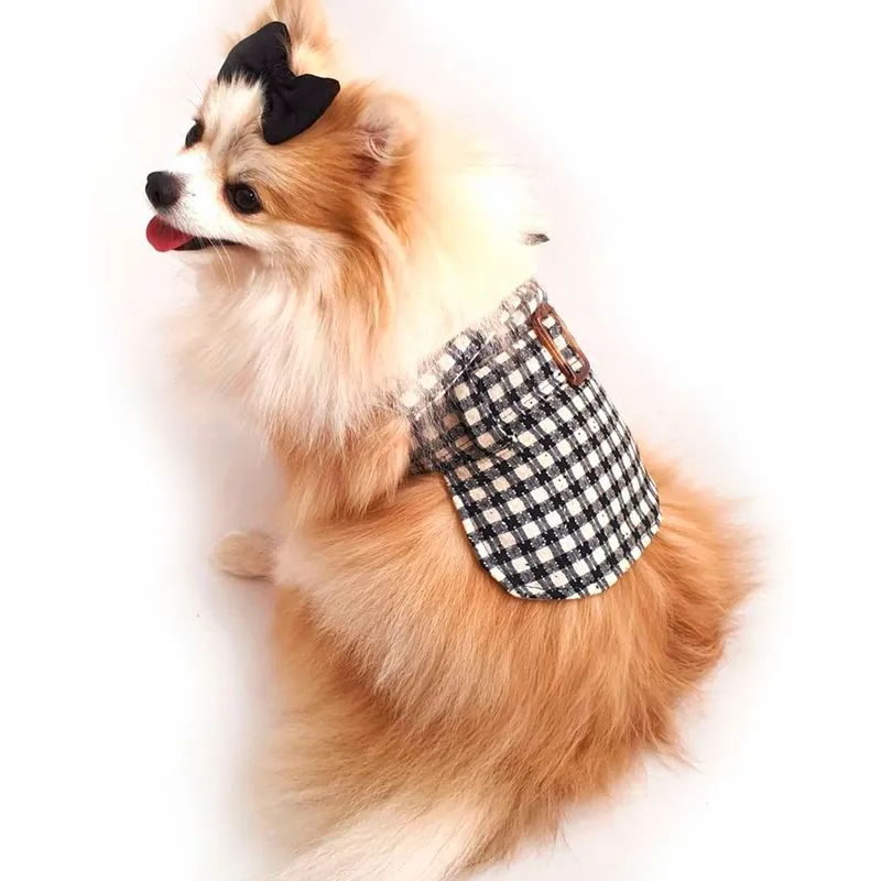 Roupa Pet Para Cães Vestido Pet Fivela Croco Gola Pele Inverno Petisco
