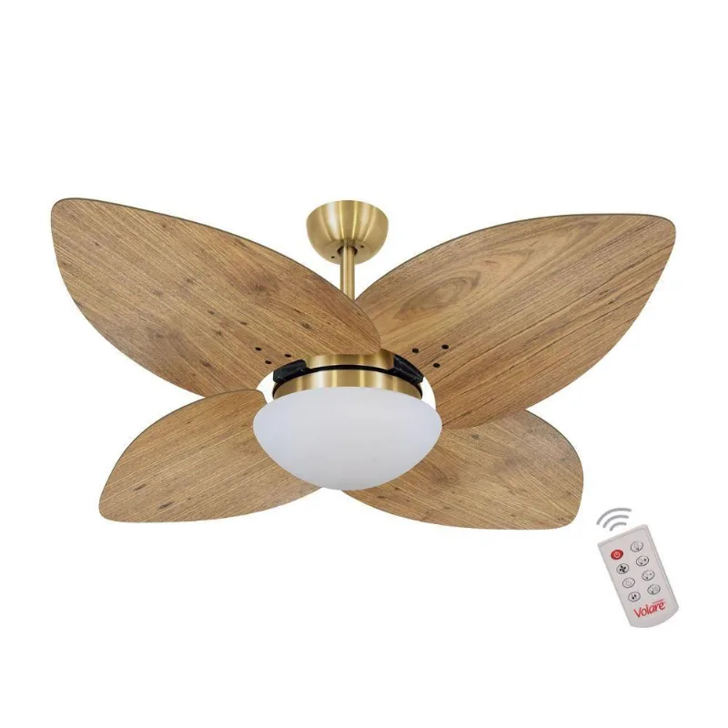 Ventilador De Teto Dourado 4 Pás Rádica Freijó 220V 220V