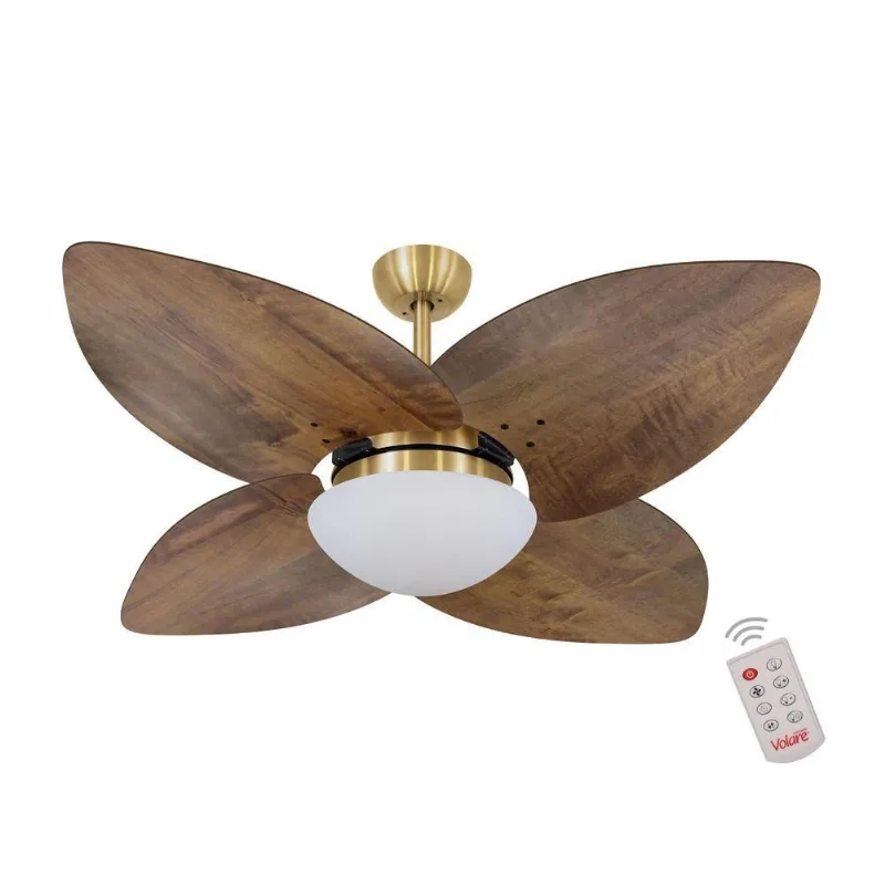 Ventilador De Teto Dourado 4 Pás Rádica Imbuia 127V 110V