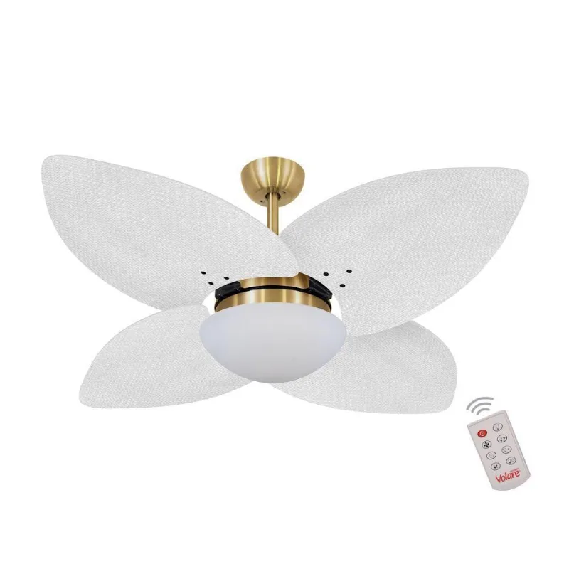 Ventilador De Teto Dourado 4 Pás Palmae Branco 127V 110V