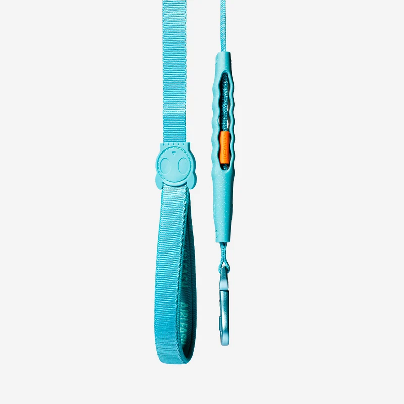Blue | Airleash 3.3 ft.