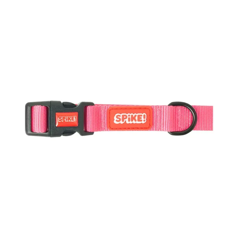Coleira de Passeio para Cães Pink Spike M