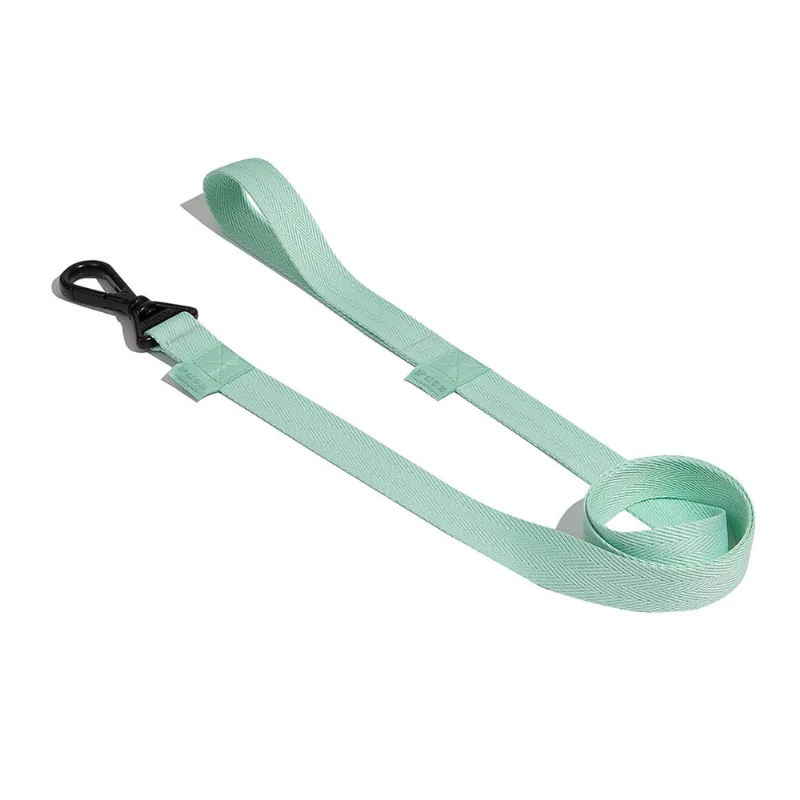 Guia Petz Pastel Mint Para Cães - M/g