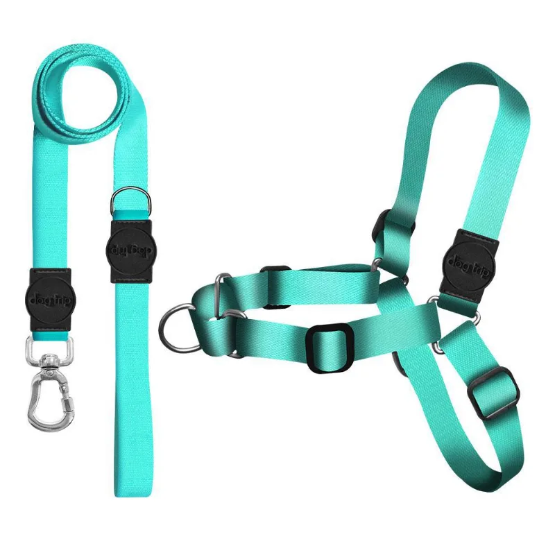 Kit Guia + Peitoral Antipuxão Classic Aquamarine Dog 1192