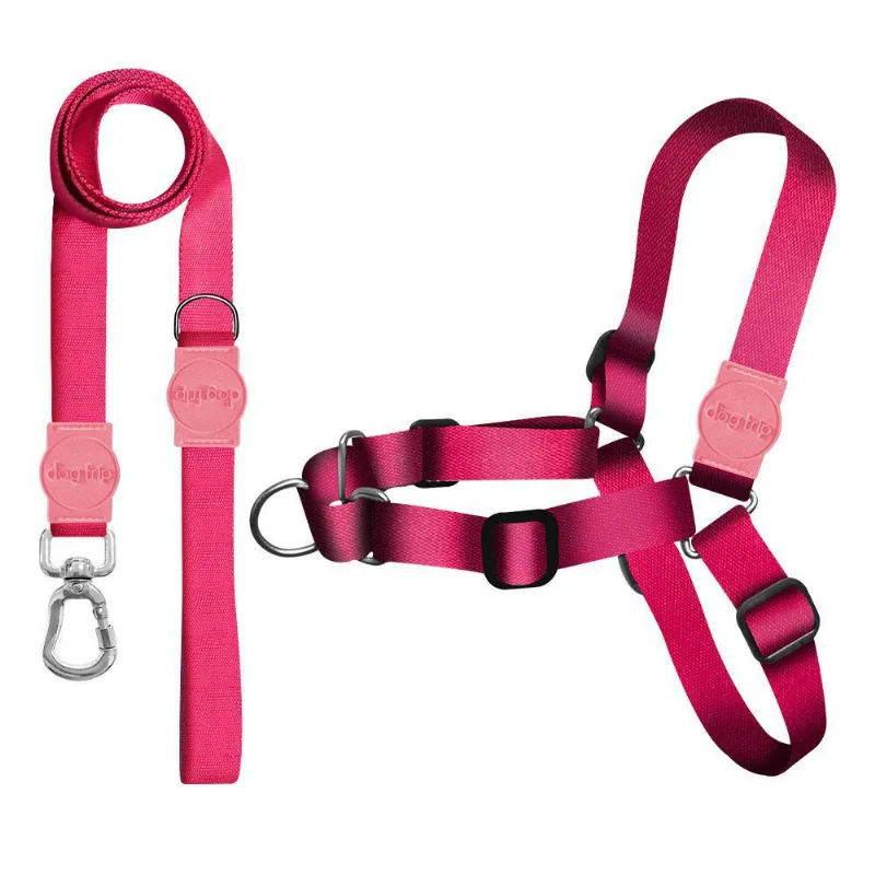 Kit Guia Premium + Peitoral Antipuxão Classic Rose Dog 1227