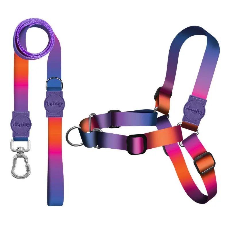 Kit Guia Premium + Peitoral Antipuxão Dog Trip Brasil Padang Para Cães - Tam. Pp