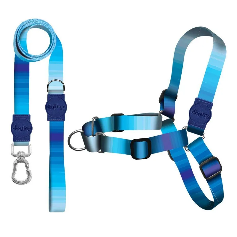 Kit Guia Premium + Peitoral Antipuxão Dog Trip Brasil Maldives Para Cães - Tam. M