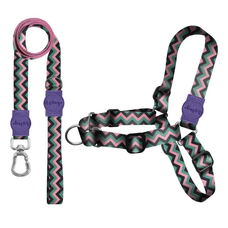 Kit Guia Premium + Peitoral Antipuxão Poipu Dog - 1186