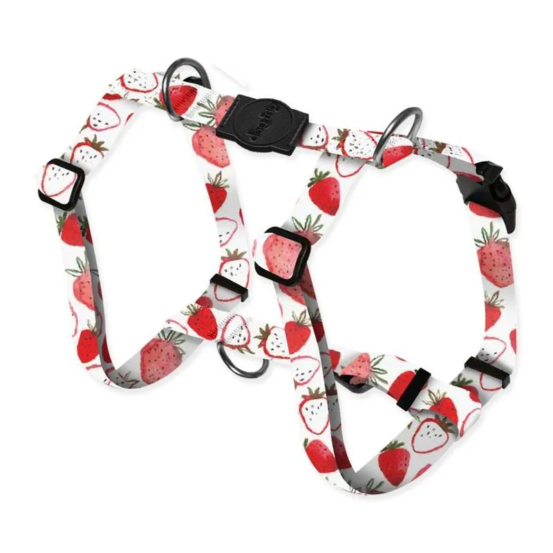 Peitoral Smart Strawberry Dog Trip Brasil - 360