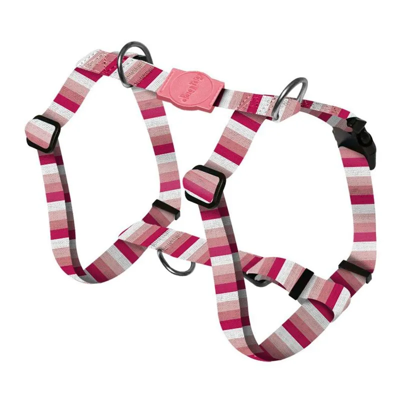 Peitoral Smart Pauba Dog Trip Brasil - 256