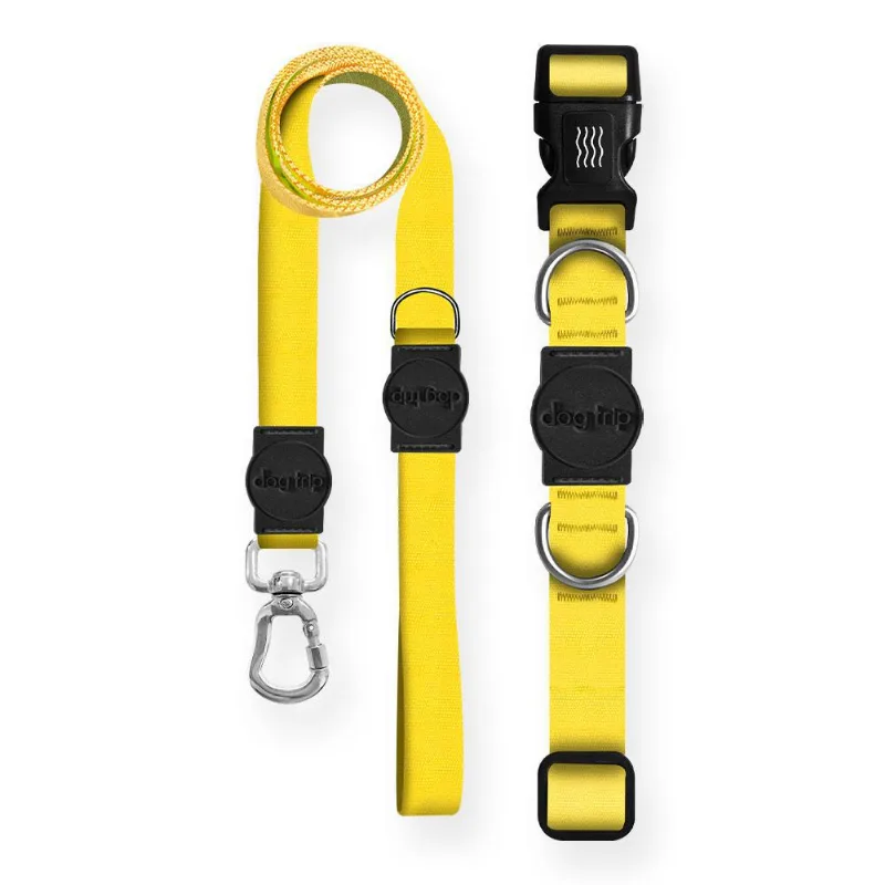 Kit Guia Premium + Coleira Premium Classic Yellow Dog 854