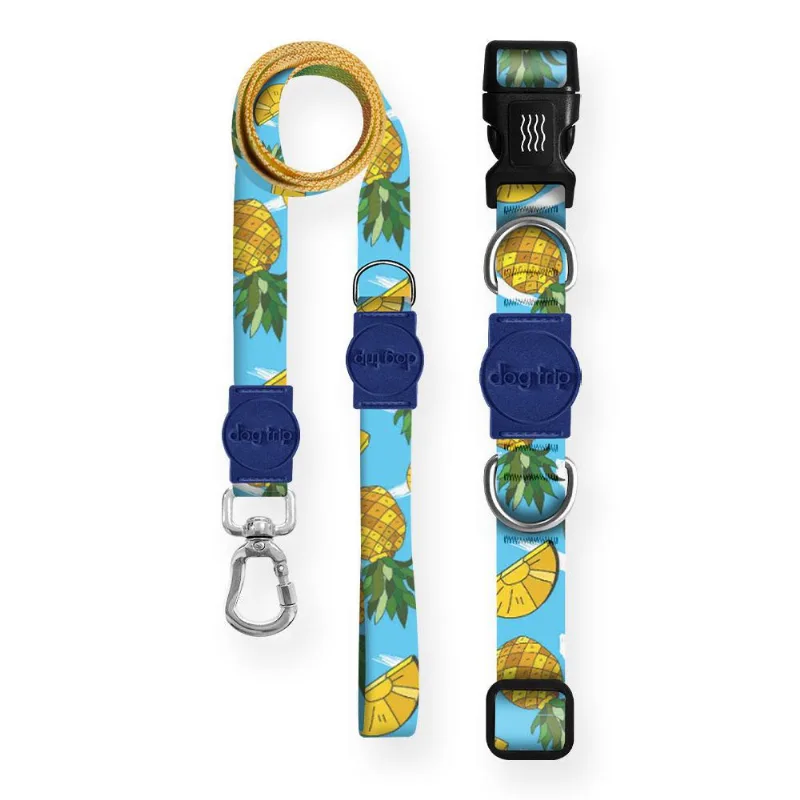 Kit Guia Premium + Coleira Premium Pineapple Dog - 1064