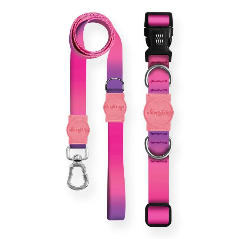 Kit Guia Premium + Coleira Premium Peniche Dog - 1049