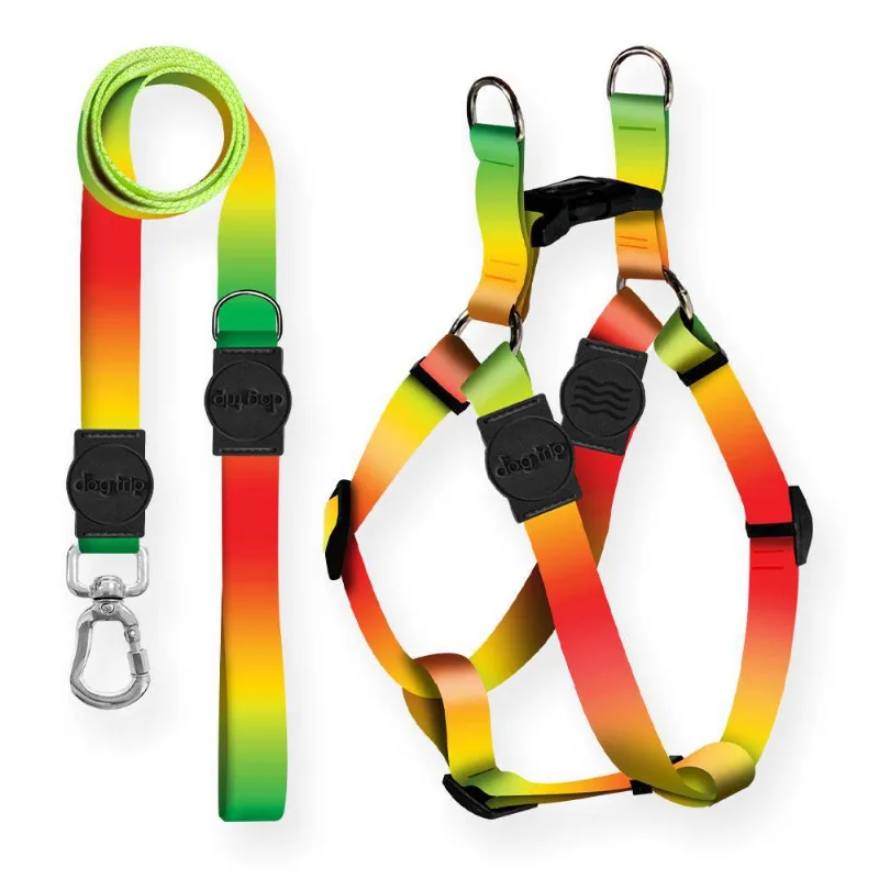 Kit Guia Premium + Peitoral Americano Trestles Dog 1140