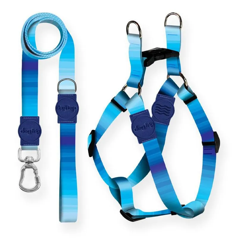 Kit Guia Premium + Peitoral Americano Maldives Dog 1055