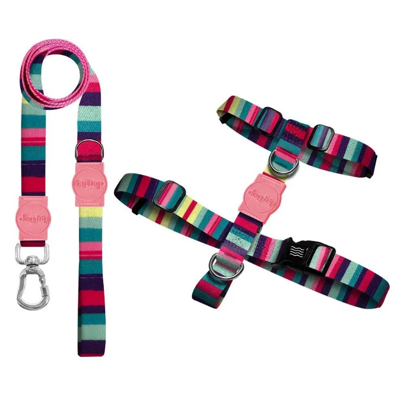 Kit Guia Premium + Peitoral H Dog Trip Brasil Oahu Para Cães - Tam. Pp