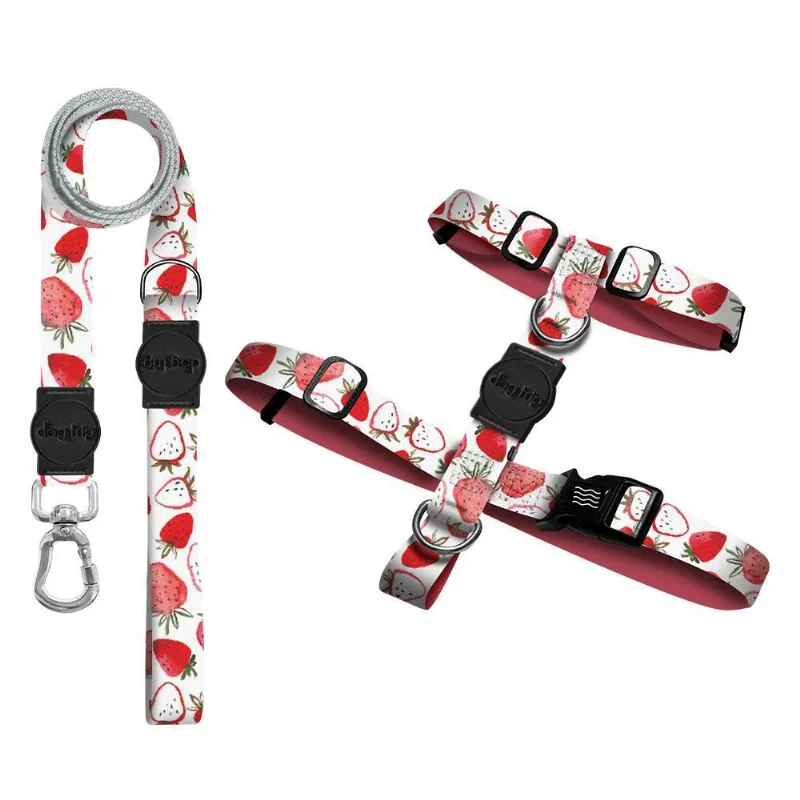 Kit Guia Premium Peitoral H Strawberry Dog Trip Brasil 1246