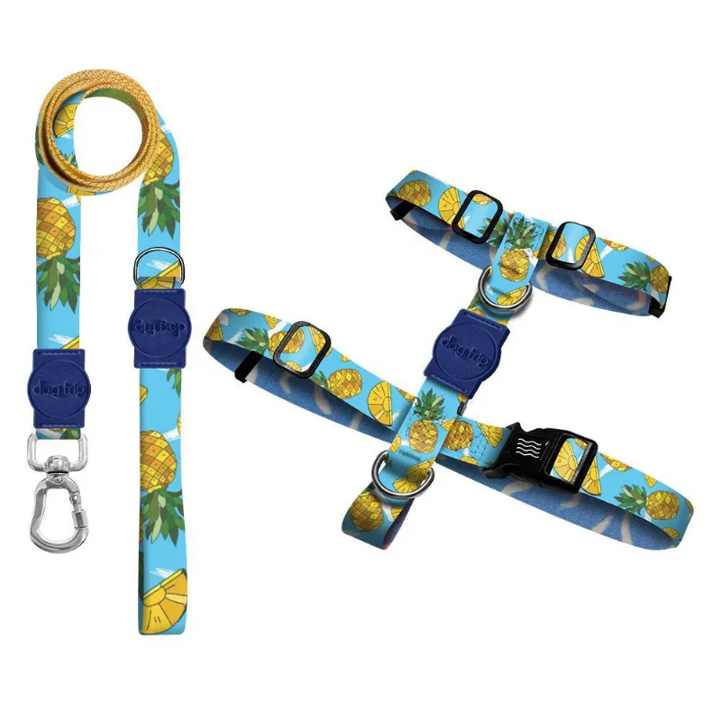 Kit Guia Premium + Peitoral H Pineapple Dog 1560