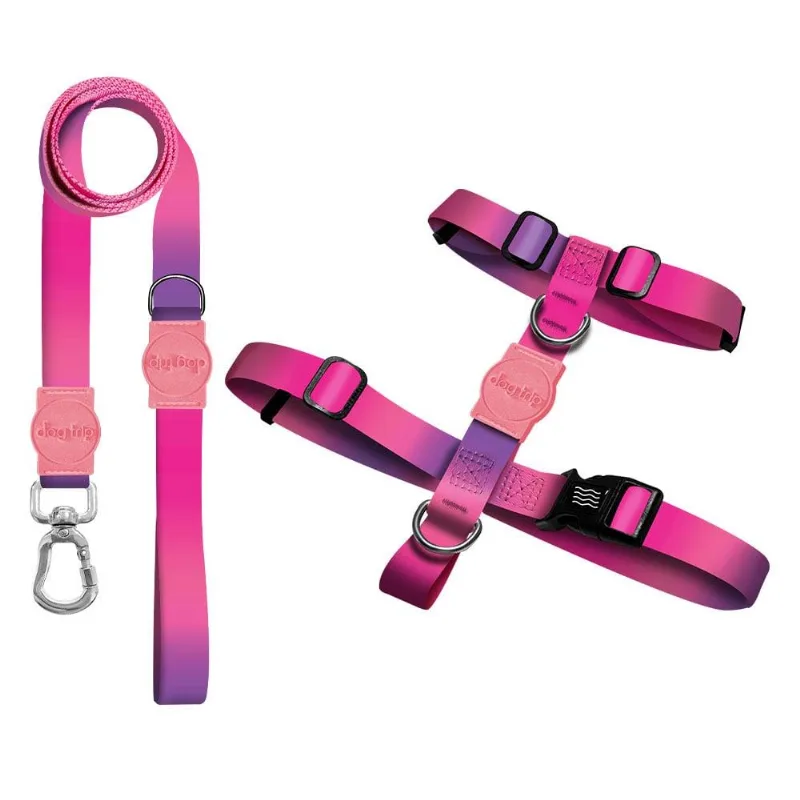 Kit Guia Premium + Peitoral H Dog Trip Brasil Peniche Para Cães - Tam. Pp