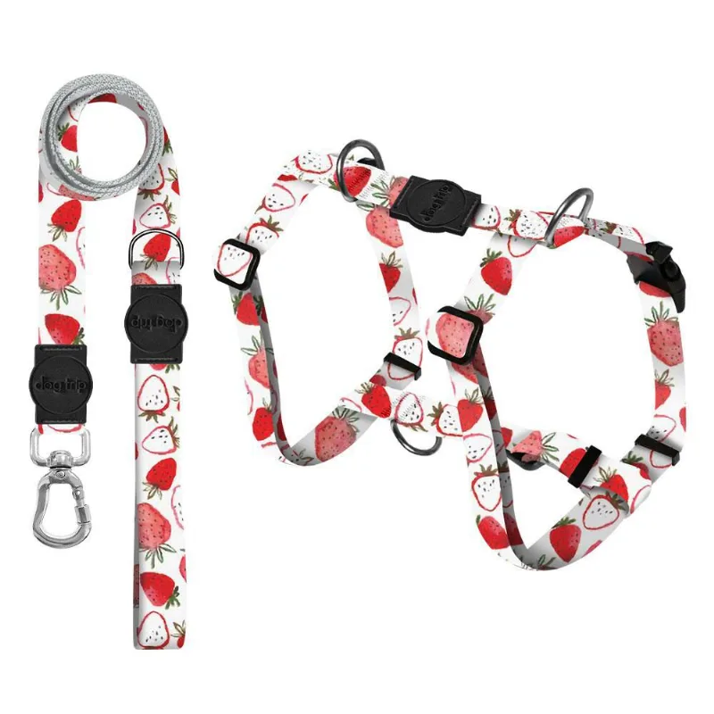 Kit Guia Premium + Peitoral Smart Strawberry Dog - 1285