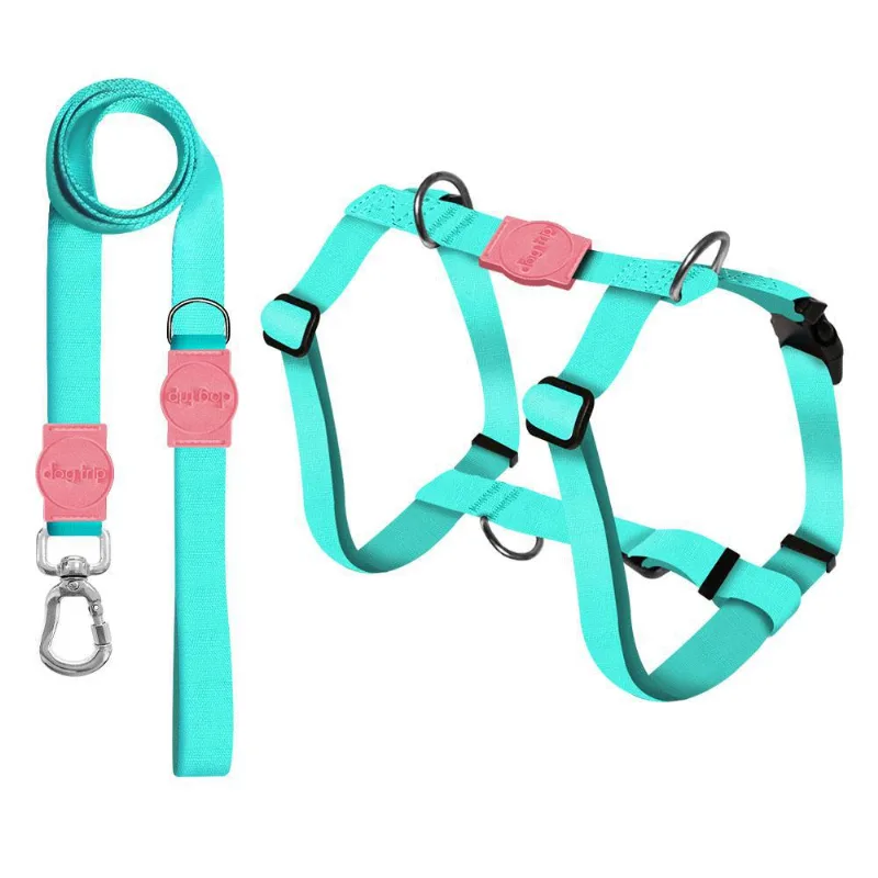 Kit Guia + Peitoral Smart Classic Aquamarine Rosa Dog 1652