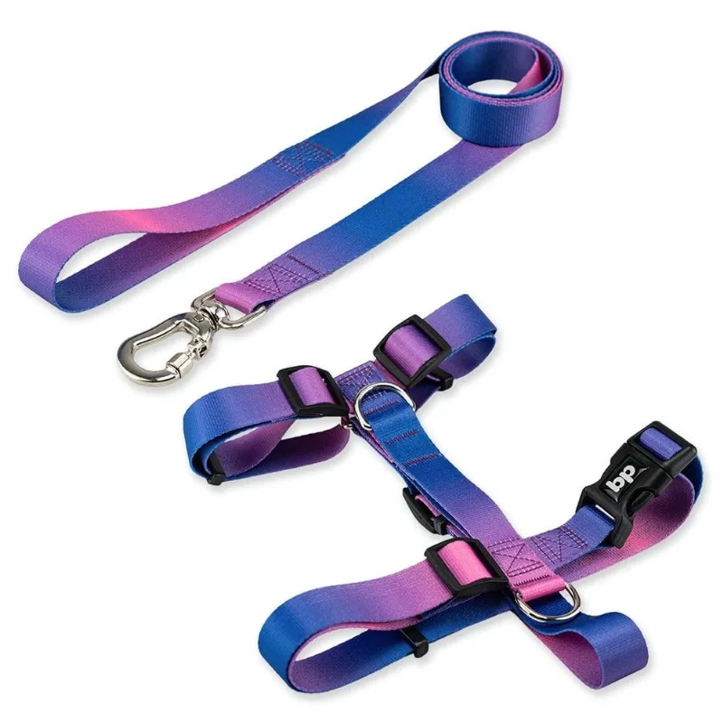 Kit Guia + Peitoral H Basic Pet Roxo E Azul Lily Para Cães - Tam. G