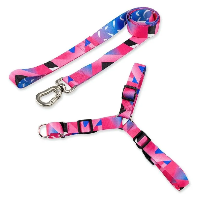 Kit Guia + Peitoral Antipuxão Basic Pet Rosa Lawn para Cães - Tam. P
