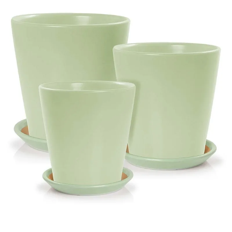 Kit 3 Vasos + Pratos Athenas Fosco Pozzani - Porcelana Verde