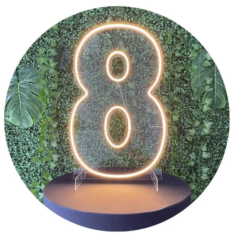 Placa Luminosa Neom -número 8 - 50cm Em Acrilico -