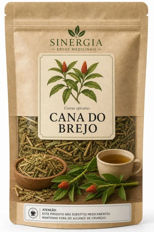 CANA DO BREJO 50G - Sinergia Ervas Medicinais