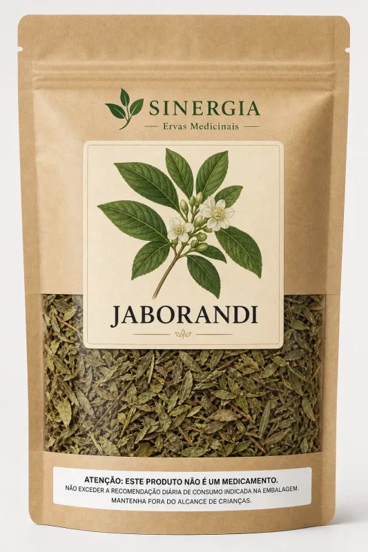 JABORANDI 50G - Sinergia Ervas Medicinais