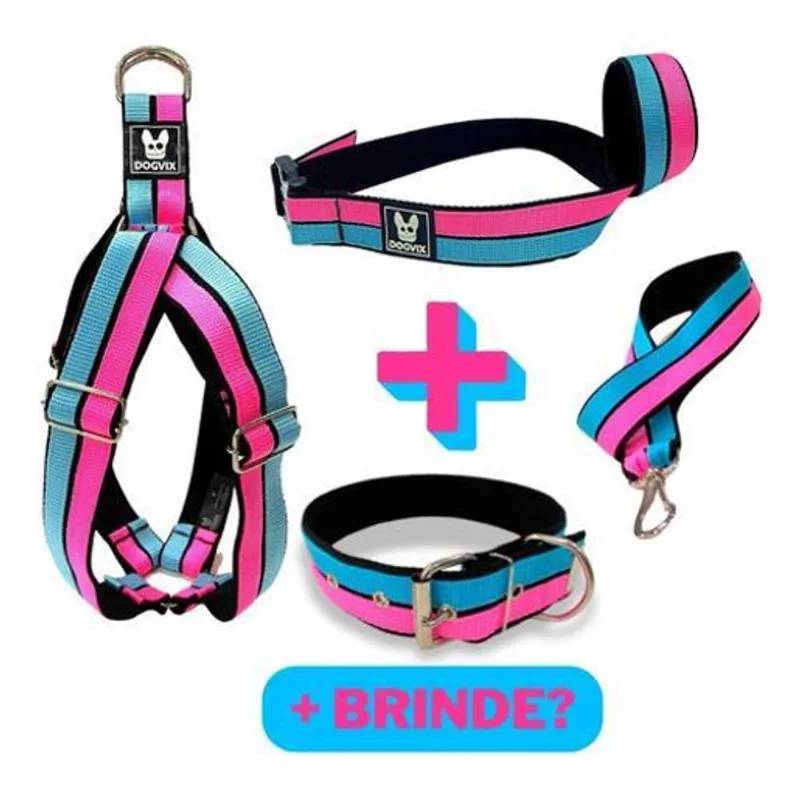 Kit Coleira Guia Peitoral Focinheira Para Cachorro +