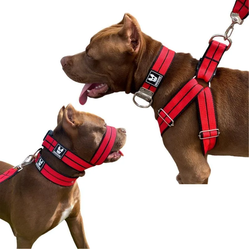 Super Kit Premium Peitoral Focinheira Coleira Para Cachorro