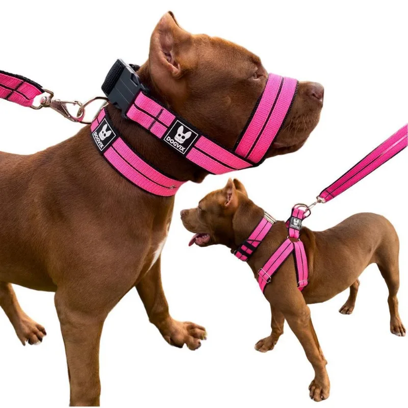 Kit Combo Coleira Peitoral Focinheira Para Cachorro Pitbull