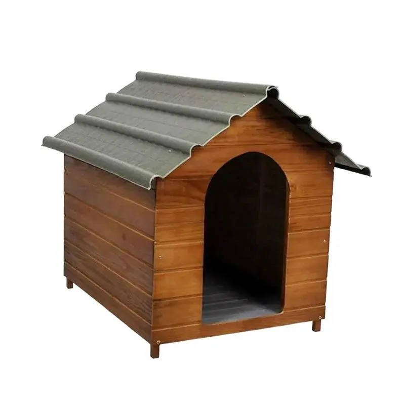 Casa Cães Telhado Ecológico N2 Cerejeira Beethoven Agropet