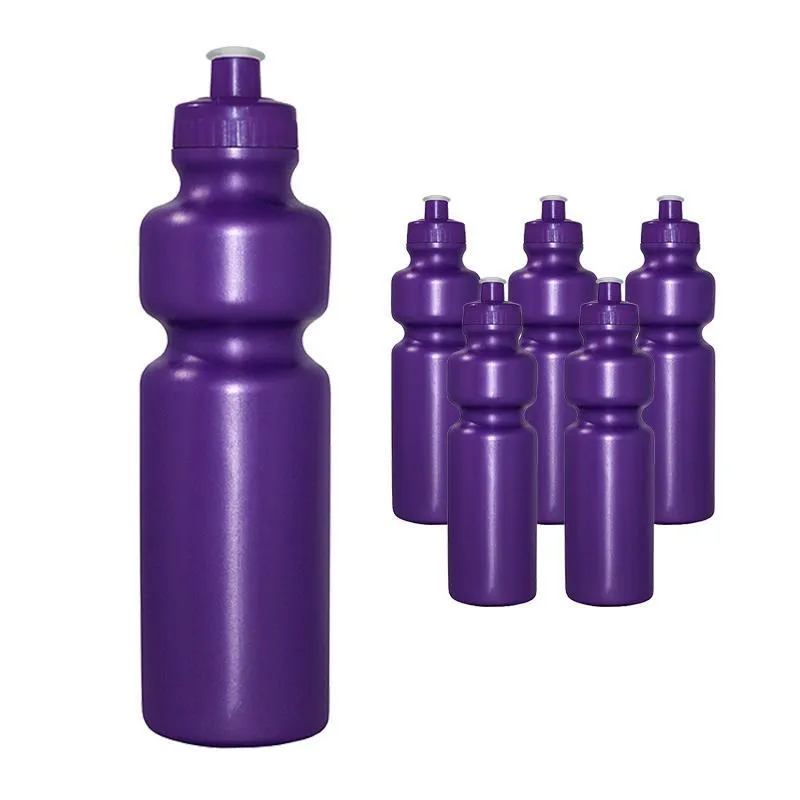 Kit 6 Squeezes 750ml Lilás Plástico Premium