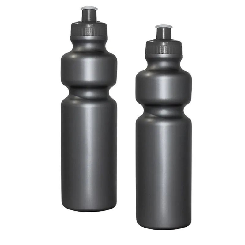 Kit 2 Squeezes 750ml Prata Plástico Premium