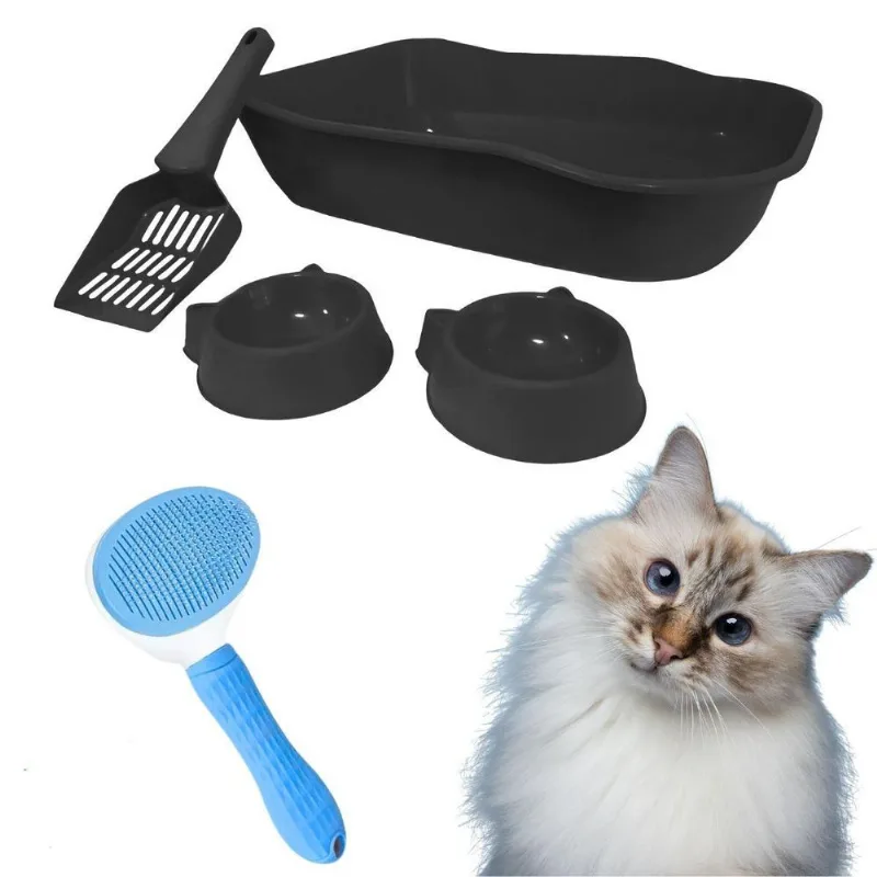 Kit Higiênico Caixa De Areia E Escova Rasqueadeira