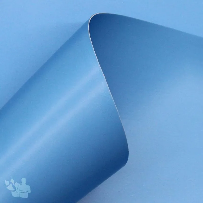 Máscara De Transferência 200x300mm (fundo Azul) 10 Folhas
