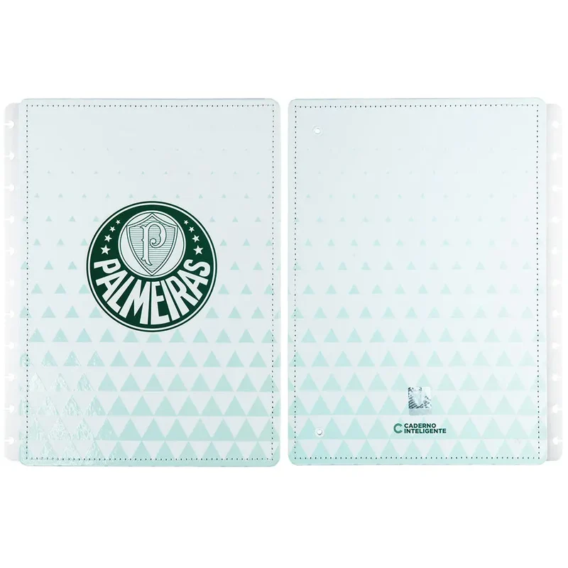 Capa e Contracapa PALMEIRAS Alviverde Grande