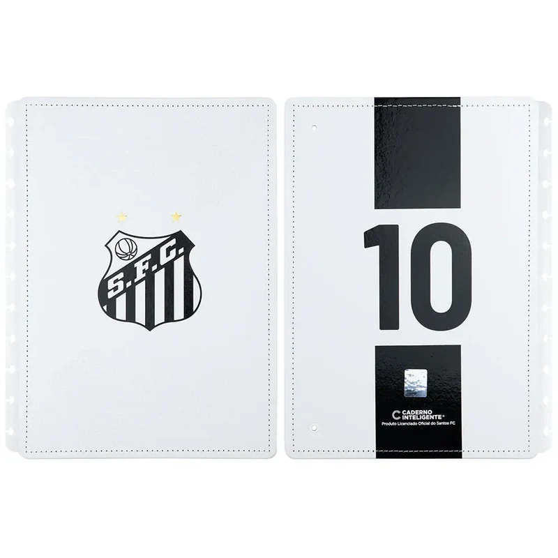CAPA E CONTRACAPA SANTOS Grande