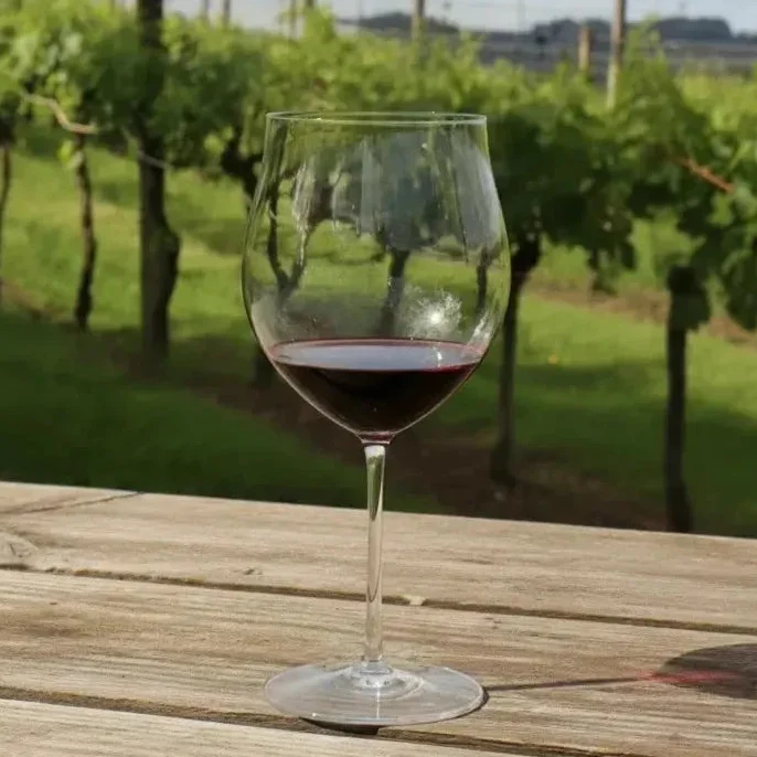 Jogo 2 Taças Mozart em Puro Cristal para Romanée Conti 1050ml