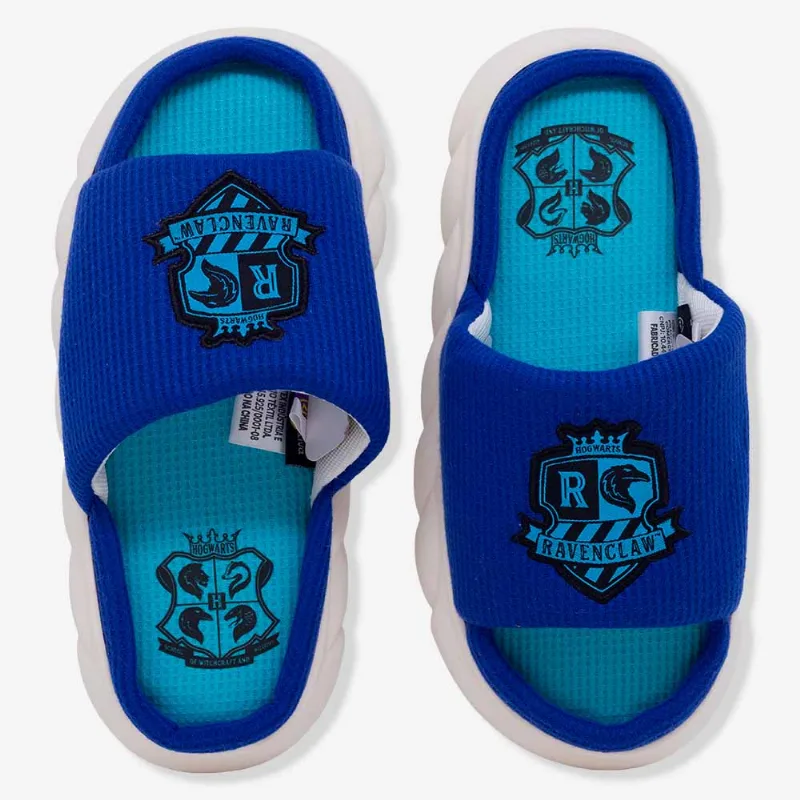 Pantufa Nuvem Corvinal – Harry Potter 36/37/38