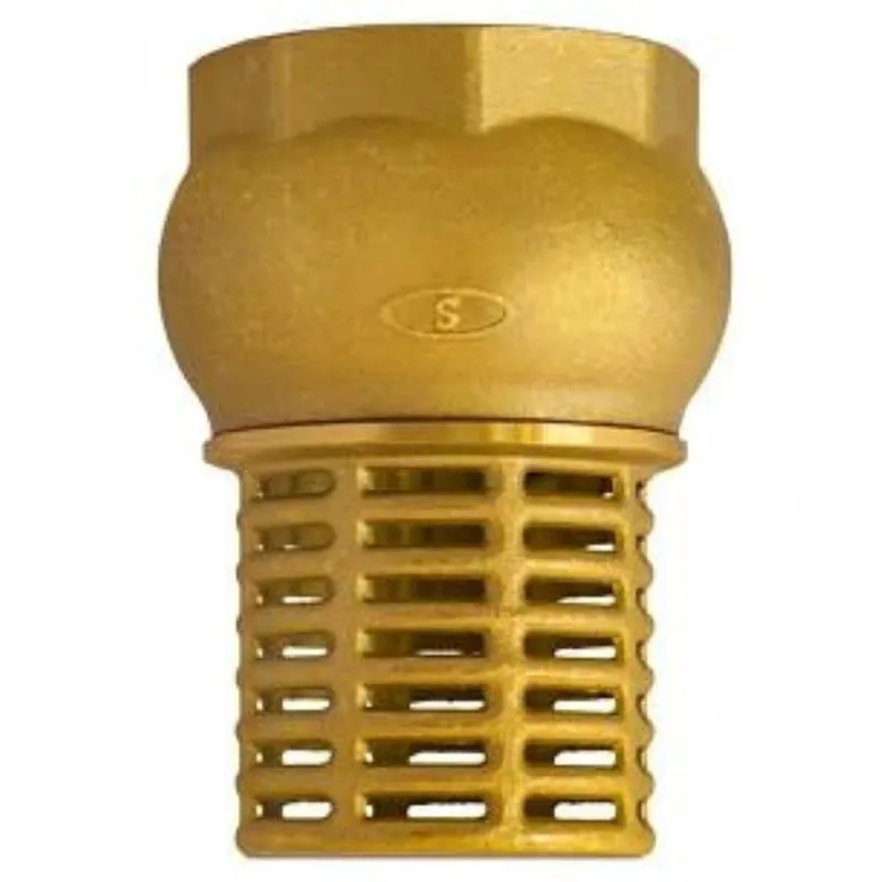 Válvula Retenção Fundo De Poço Bronze 2 Metal-metal Crivo