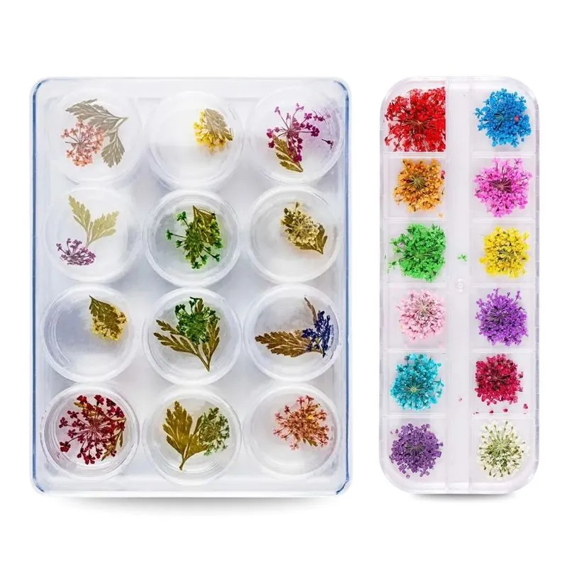Kit 24 Flores Secas Decoração Encapsulamento Unhas Nail Art