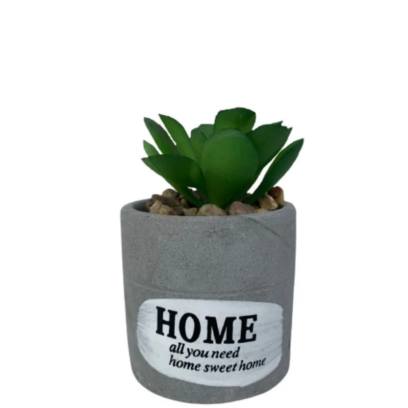 Mini vaso de cimento decorativo Home com suculenta