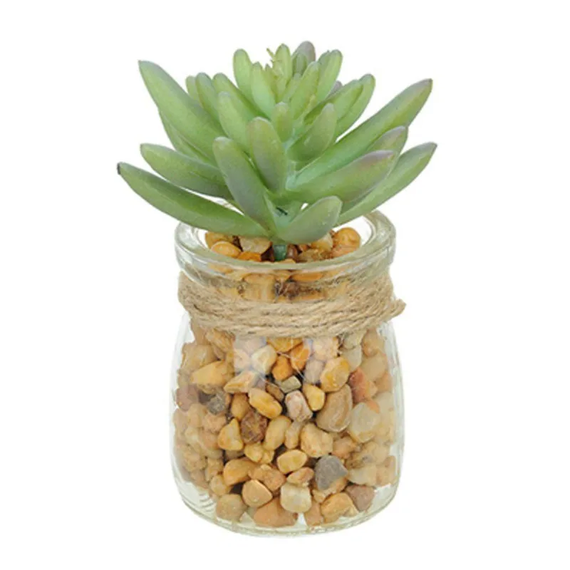 Vaso Com Suculenta Folha Média Verde Claro 10X7 Cm - Du0027Rossi