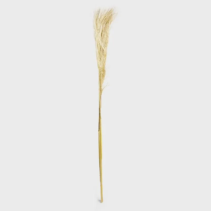 Pluma Capim dos Pampas Seco Artificial 140 cm Natural - D'Rossi